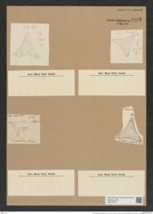 Trinacria pileolus var. jutlandica Grun. (de-Toni-Nr.: Genus 119, Species 3416) Zeichnungen Sammlung Grunow Nr. 6868 (NHMW-BOT-W0375727)